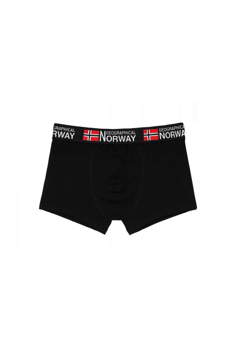 Bokserki Geographical Norway Gn-02 A'3