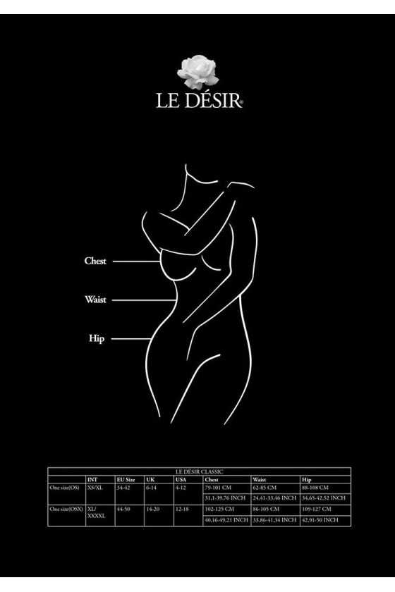 Bodystocking Le Desir Des021 Bodystocking Le Desir Des021