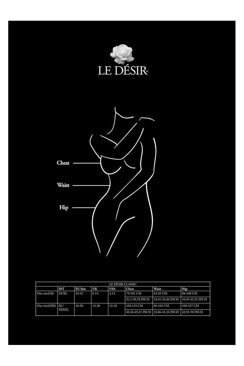 Bodystocking Le Desir Des021