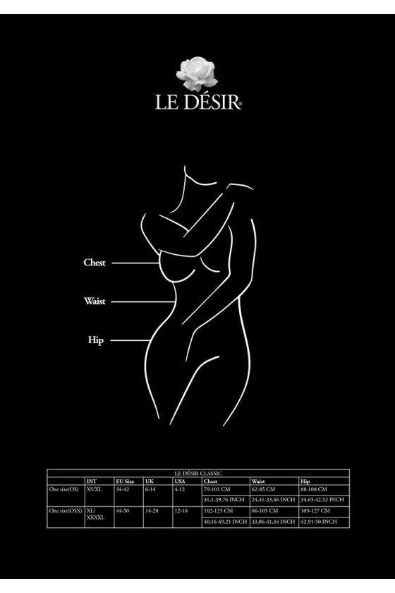Bodystocking Le Desir Des020 Bodystocking Le Desir Des020