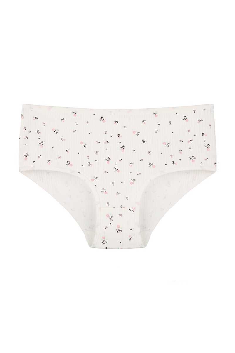 Figi Donella 251301 A2 L-4Xl